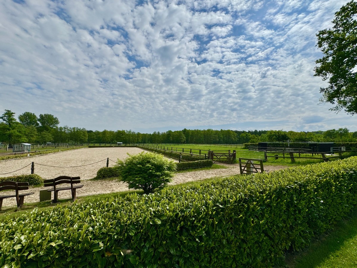 Immobilie e2025668 / Impressionen #19 