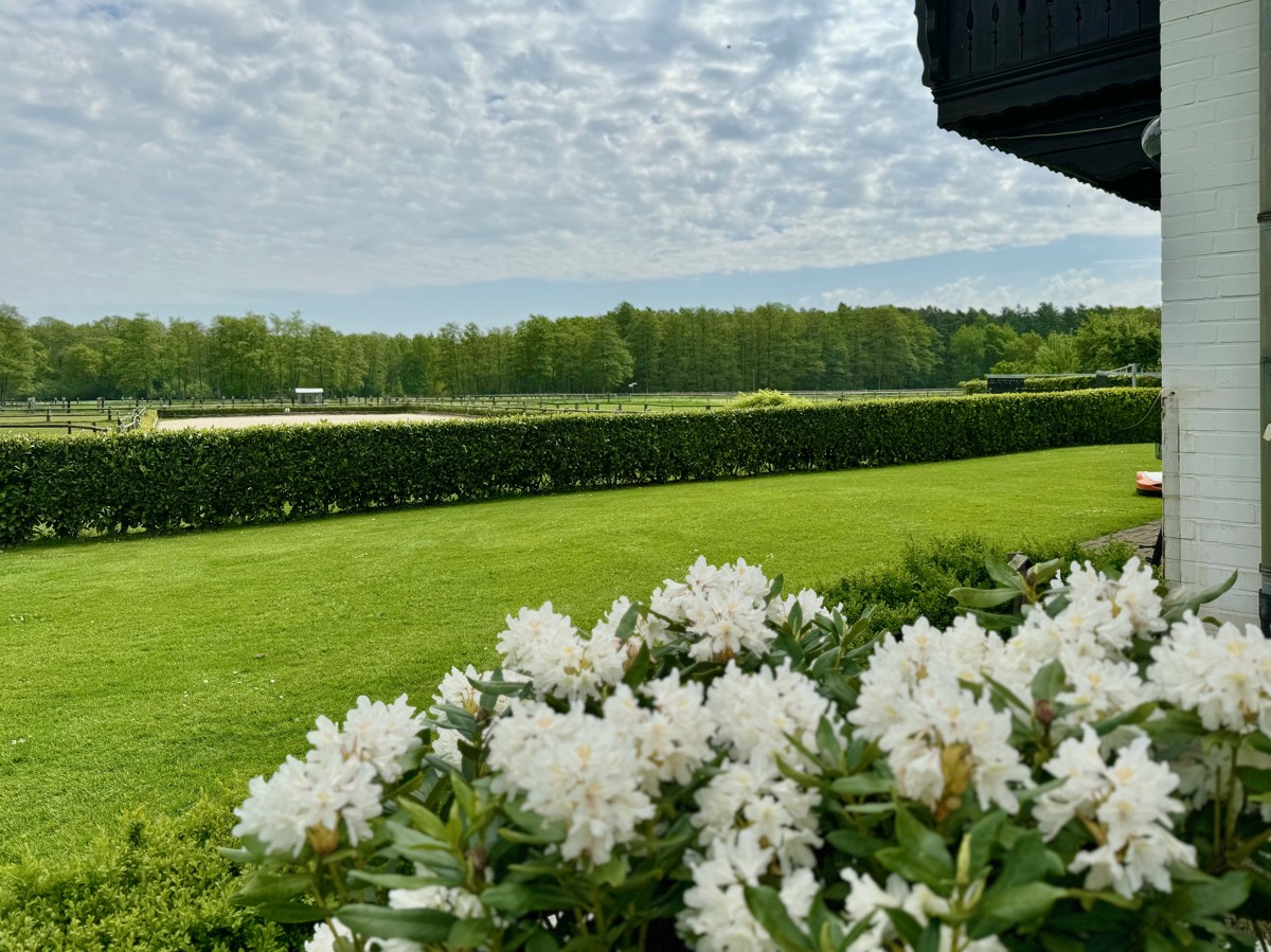 Immobilie e2025668 / Impressionen #14 