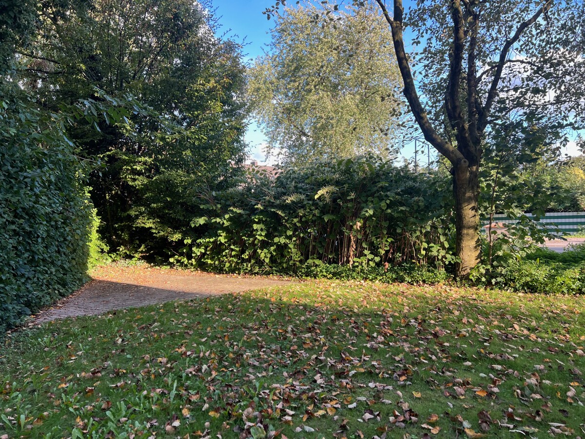 Immobilie e2025967 / Impressionen #6 