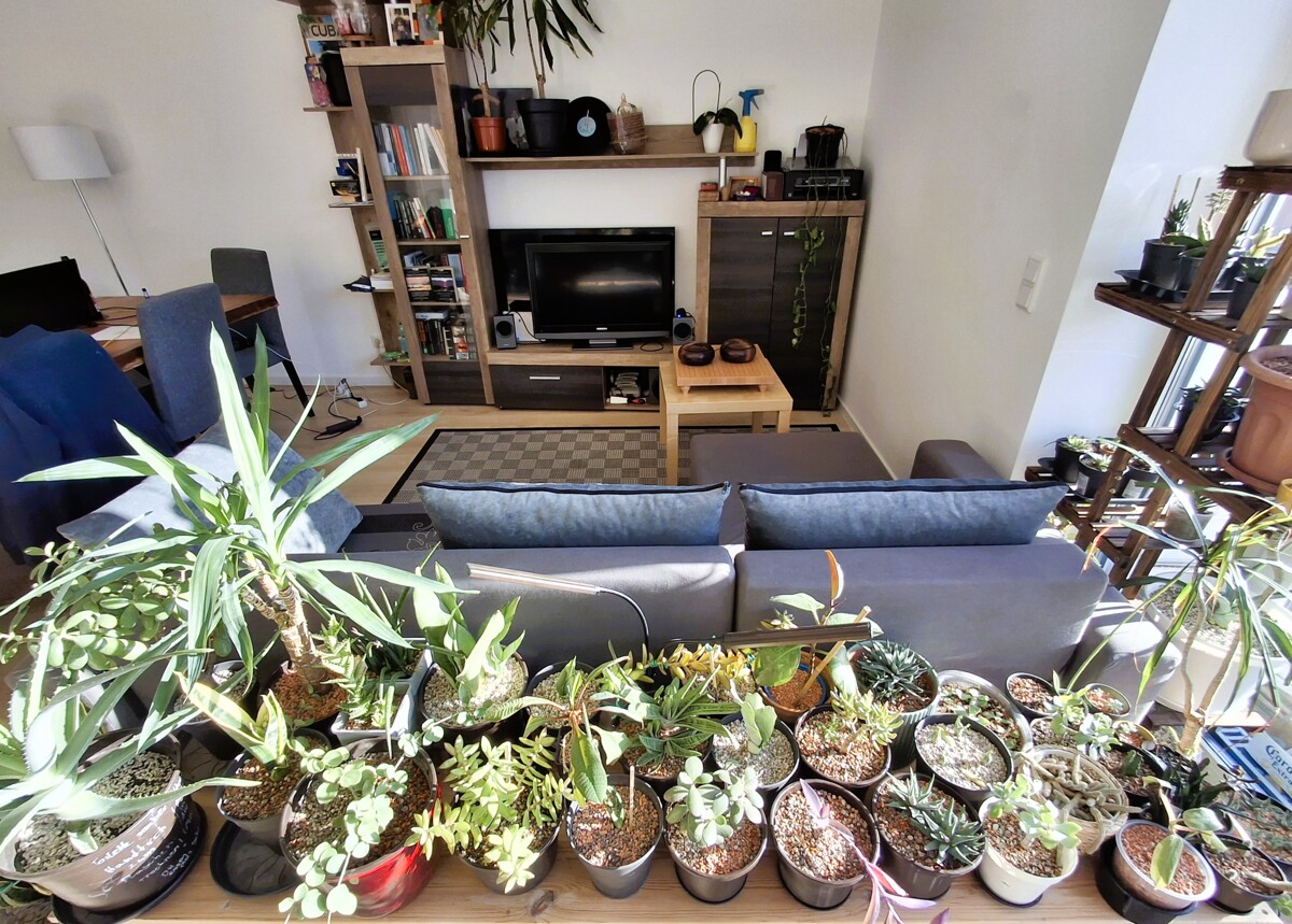 Immobilie e20261045 / Impressionen #10 